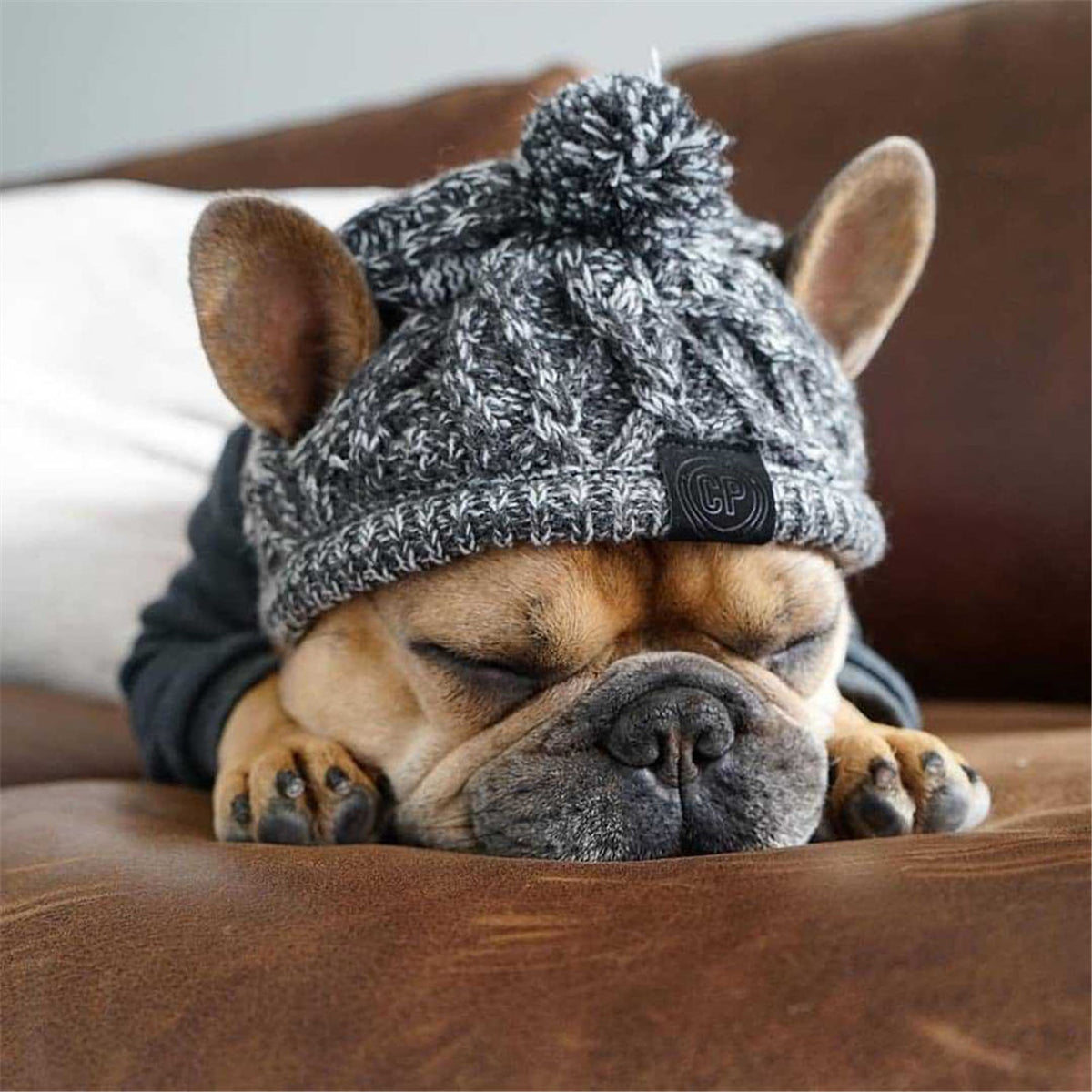 Winter Warm Dog Hats